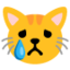 :crying_cat_face: